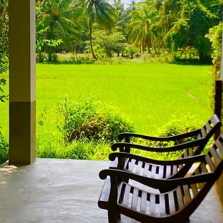 Wilpattu Green Cabin Achchamulai Exterior photo
